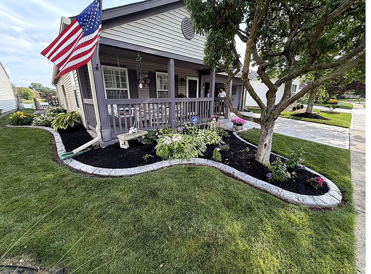 Freshly mulched ring around a mature tree
